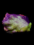 Pacman Frog Squishy