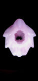 Large Ayna 00-20