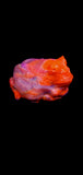 Mini Pacman Frog Squishy