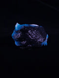 Pacman Frog Squishy