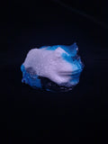 Pacman Frog Squishy