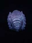Medium Scarab Egg 00-50